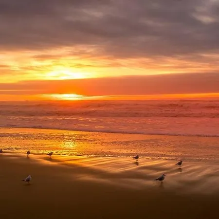 Les Mouettes * Mimizan-Plage